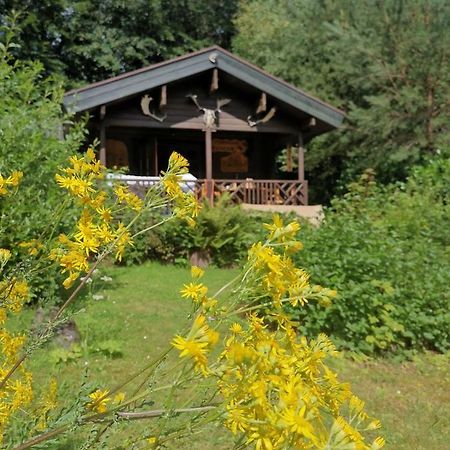 Blockhaus Am Twistesee Mit 3 Schlafzimmern Bad Arolsen Exterior foto