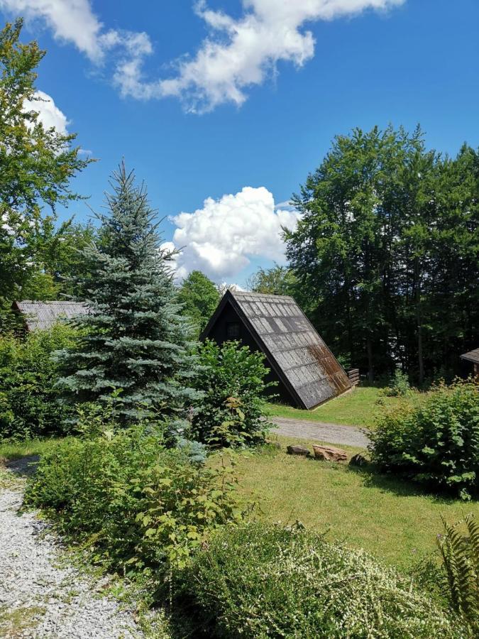 Blockhaus Am Twistesee Mit 3 Schlafzimmern Bad Arolsen Exterior foto