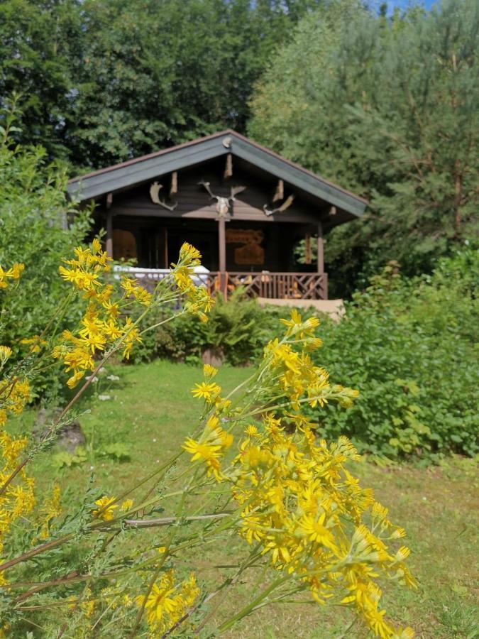 Blockhaus Am Twistesee Mit 3 Schlafzimmern Bad Arolsen Exterior foto
