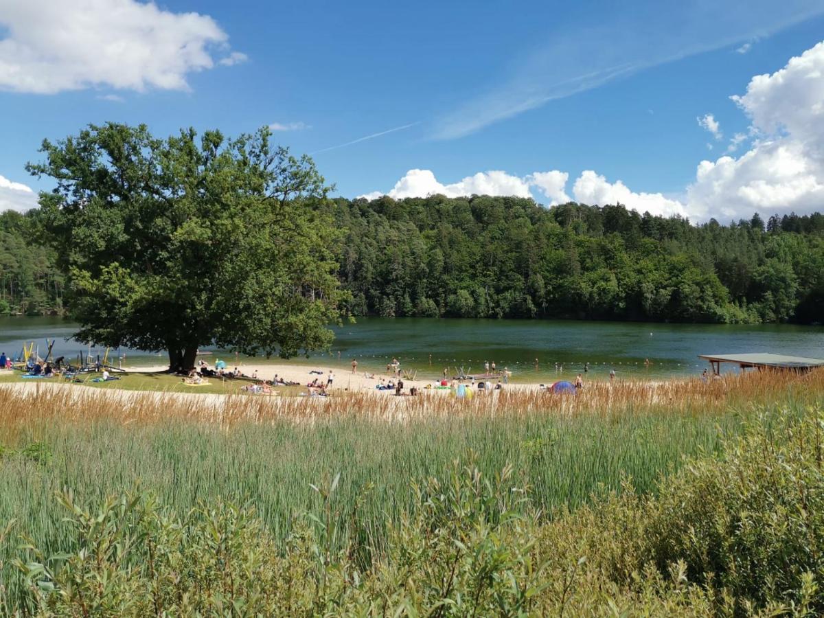 Blockhaus Am Twistesee Mit 3 Schlafzimmern Bad Arolsen Exterior foto